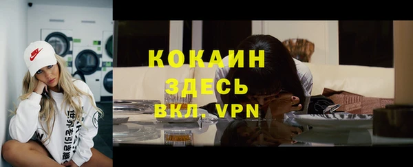 стаф Алзамай