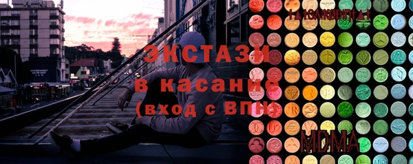стаф Алзамай