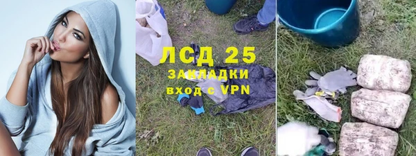 стаф Алзамай