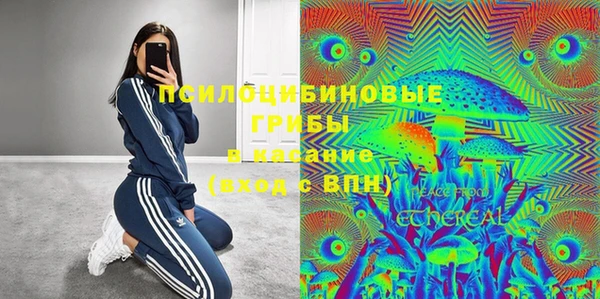 амф Алексин