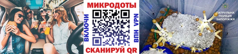 Псилоцибиновые грибы GOLDEN TEACHER  наркошоп  Пласт 